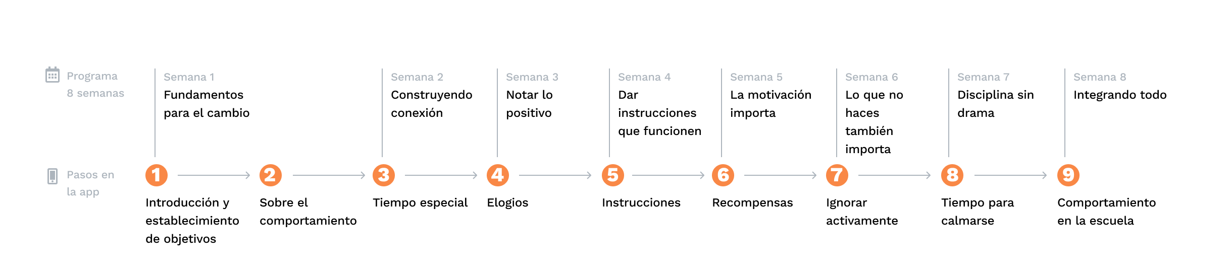 Recorrido del programa semana a semana